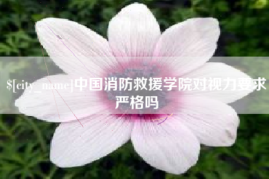 克孜勒苏柯尔克孜中国消防救援学院对视力要求严格吗