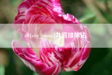 克孜勒苏柯尔克孜九宫排除法