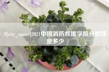 克孜勒苏柯尔克孜2021中国消防救援学院分数线是多少
