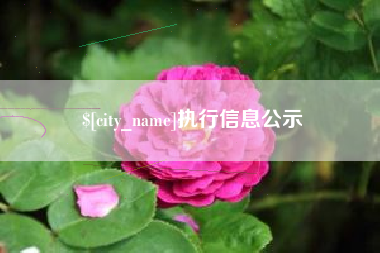 克孜勒苏柯尔克孜执行信息公示