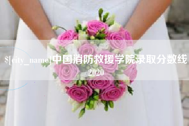 克孜勒苏柯尔克孜中国消防救援学院录取分数线2020