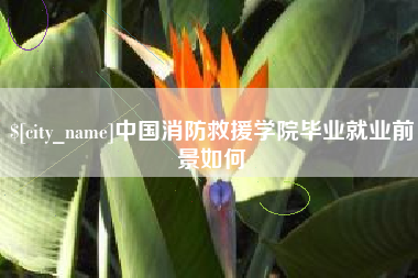 克孜勒苏柯尔克孜中国消防救援学院毕业就业前景如何