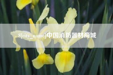 克孜勒苏柯尔克孜中国消防器材商城