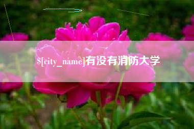 克孜勒苏柯尔克孜有没有消防大学
