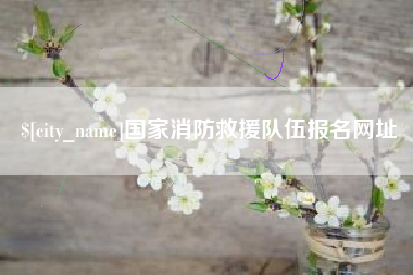 克孜勒苏柯尔克孜国家消防救援队伍报名网址