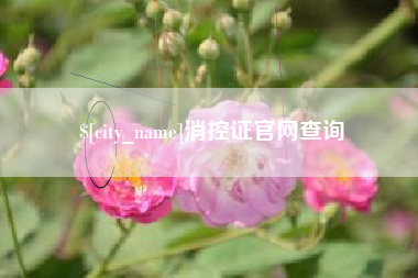 克孜勒苏柯尔克孜消控证官网查询
