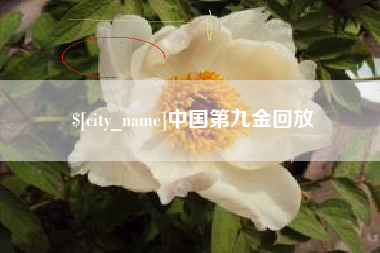 克孜勒苏柯尔克孜中国第九金回放