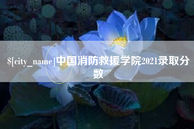 克孜勒苏柯尔克孜中国消防救援学院2021录取分数