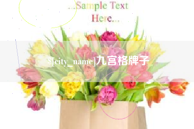 克孜勒苏柯尔克孜九宫格牌子