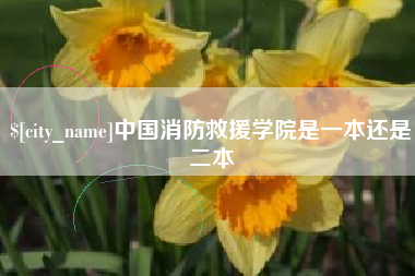 克孜勒苏柯尔克孜中国消防救援学院是一本还是二本