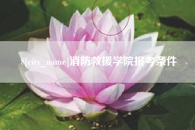 克孜勒苏柯尔克孜消防救援学院报考条件