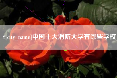 克孜勒苏柯尔克孜中国十大消防大学有哪些学校