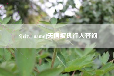 克孜勒苏柯尔克孜失信被执行人杳询