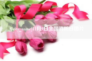 克孜勒苏柯尔克孜11月9日全国消防日图片