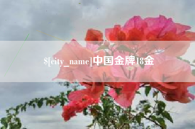 克孜勒苏柯尔克孜中国金牌18金