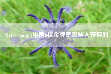 克孜勒苏柯尔克孜中国6枚金牌是哪些人获得的