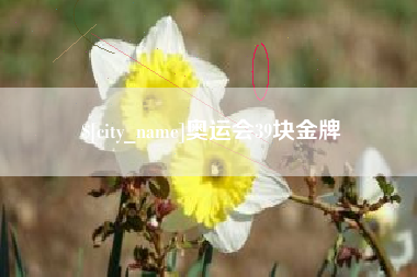 克孜勒苏柯尔克孜奥运会39块金牌