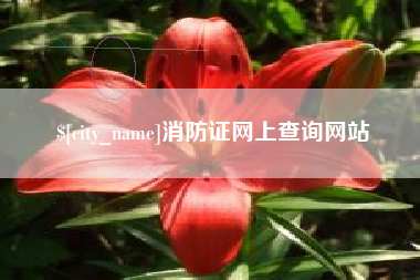 克孜勒苏柯尔克孜消防证网上查询网站