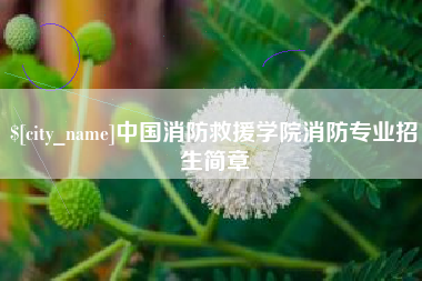 克孜勒苏柯尔克孜中国消防救援学院消防专业招生简章