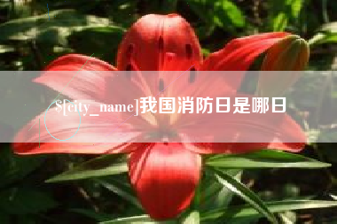 克孜勒苏柯尔克孜我国消防日是哪日