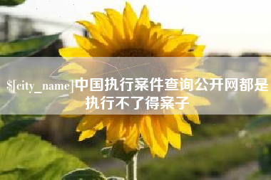 克孜勒苏柯尔克孜中国执行案件查询公开网都是执行不了得案子