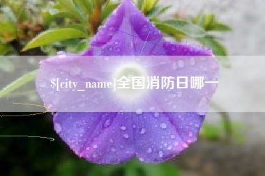 克孜勒苏柯尔克孜全国消防日哪一