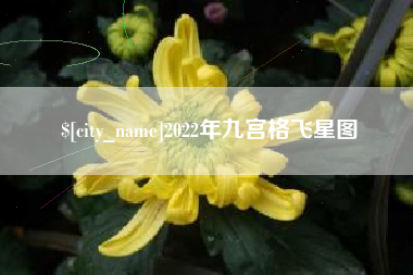 克孜勒苏柯尔克孜2022年九宫格飞星图