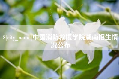 克孜勒苏柯尔克孜中国消防救援学院湖南招生情况公布