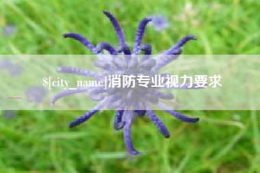 克孜勒苏柯尔克孜消防专业视力要求