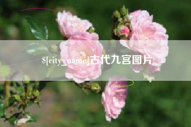 克孜勒苏柯尔克孜古代九宫图片