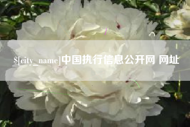 克孜勒苏柯尔克孜中国执行信息公开网 网址