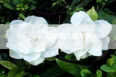 克孜勒苏柯尔克孜中国的几块金牌2021
