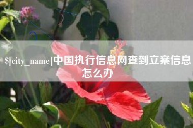 克孜勒苏柯尔克孜中国执行信息网查到立案信息怎么办