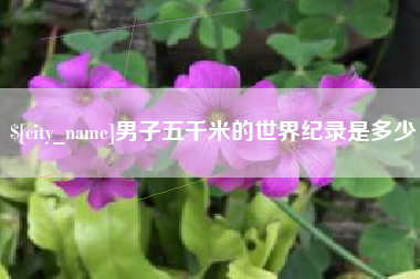 克孜勒苏柯尔克孜男子五千米的世界纪录是多少