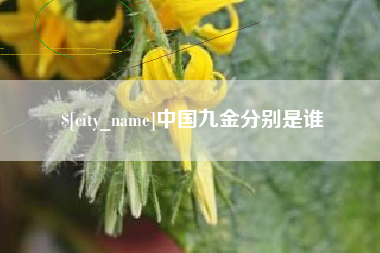 克孜勒苏柯尔克孜中国九金分别是谁