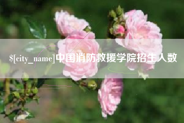 克孜勒苏柯尔克孜中国消防救援学院招生人数
