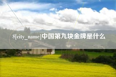 克孜勒苏柯尔克孜中国第九块金牌是什么