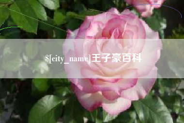 克孜勒苏柯尔克孜王子豪百科