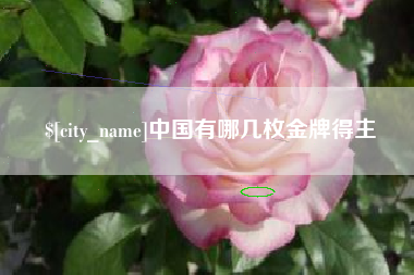 克孜勒苏柯尔克孜中国有哪几枚金牌得主