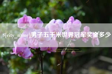 克孜勒苏柯尔克孜男子五千米世界冠军奖金多少
