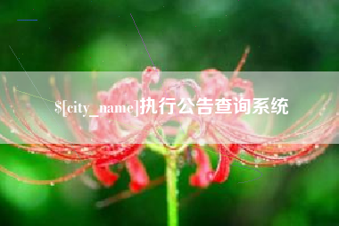 克孜勒苏柯尔克孜执行公告查询系统