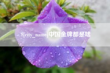 克孜勒苏柯尔克孜中国金牌都是啥