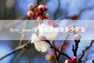 克孜勒苏柯尔克孜中国金牌能拿多少奖金
