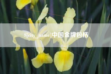 克孜勒苏柯尔克孜中国金牌包括