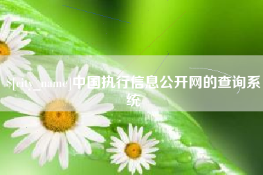 克孜勒苏柯尔克孜中国执行信息公开网的查询系统