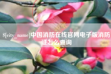克孜勒苏柯尔克孜中国消防在线官网电子版消防证怎么查询