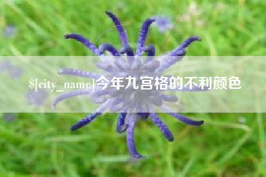 克孜勒苏柯尔克孜今年九宫格的不利颜色