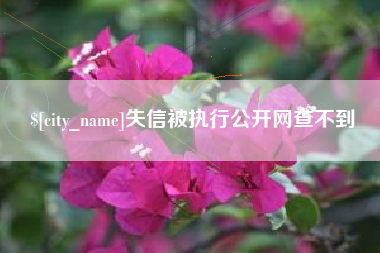 克孜勒苏柯尔克孜失信被执行公开网查不到