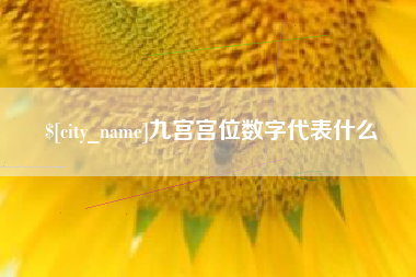 克孜勒苏柯尔克孜九宫宫位数字代表什么