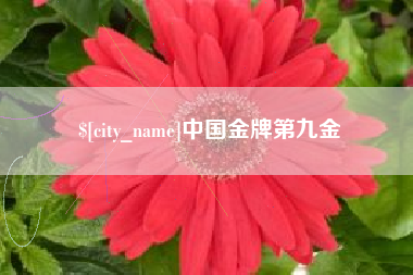 克孜勒苏柯尔克孜中国金牌第九金